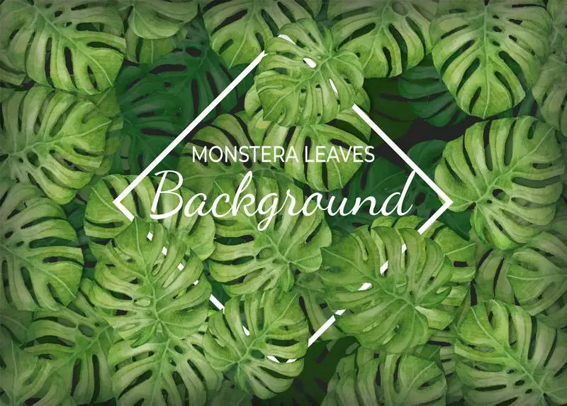 Tropical Leaves Background with Rhombus