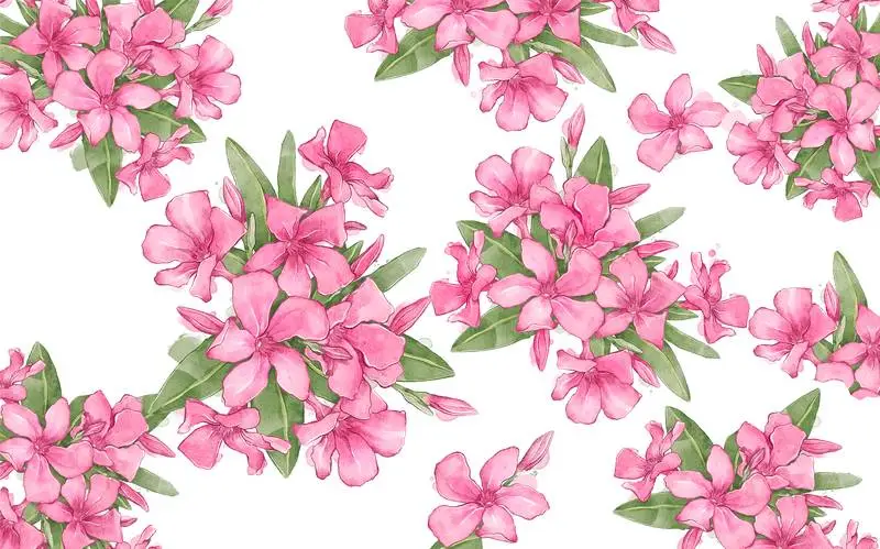Floral Background with Oleanders Composition