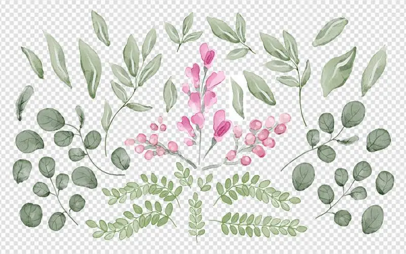 Collection of Leaves and Flowers in Watercolor
