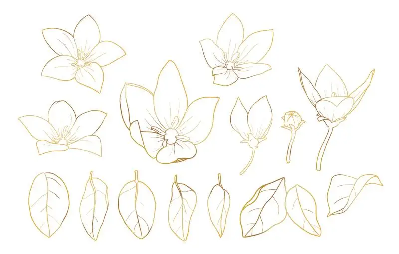 Hand-Drawn Collection of Leaves and Flowers in Gold