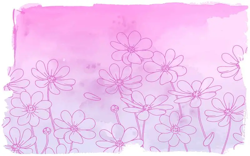 Background with Pink Daisies in Watercolor