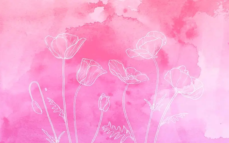 White Poppies on Watercolor Background