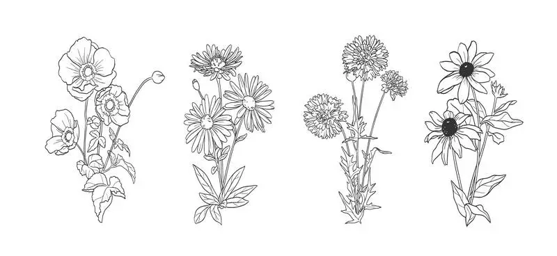 Autumn Flowers Hand-Drawn Outlines