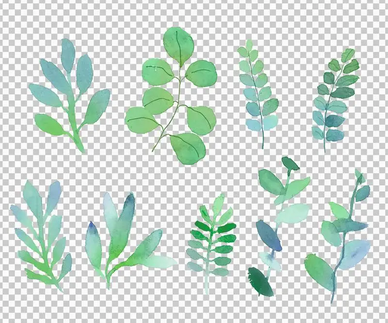 Set of Watercolor Leaves