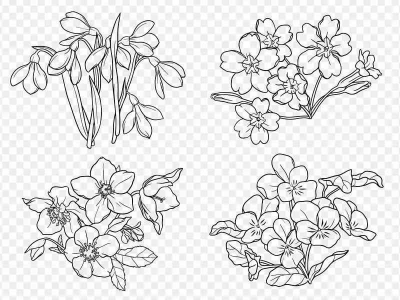 Collection of Outlined Winter Flowers