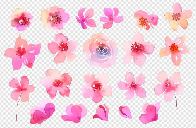 Collection of Pink Flowers in Watercolor