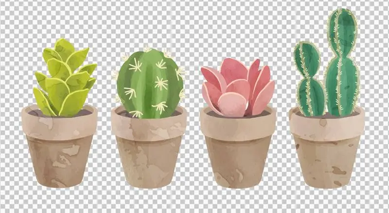 Cute Collection of Cactus in Watercolor