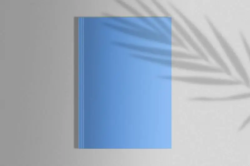 Blue Magazine with Palm Shadow