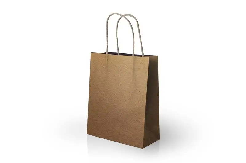 Paper Bag with Stripes