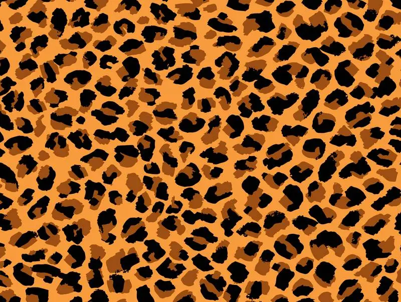 Leopard Skin Texture
