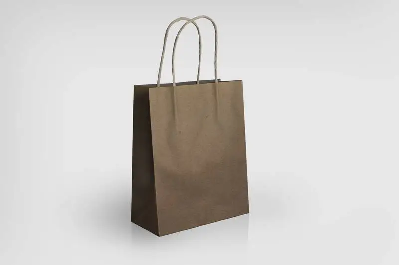 Brown Paper Bag Mockup
