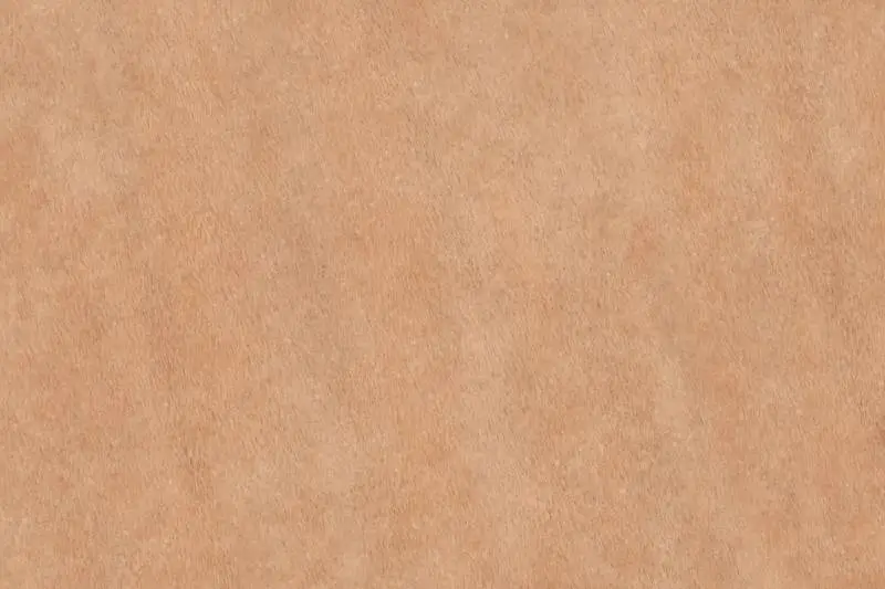 Brown Cardboard Texture
