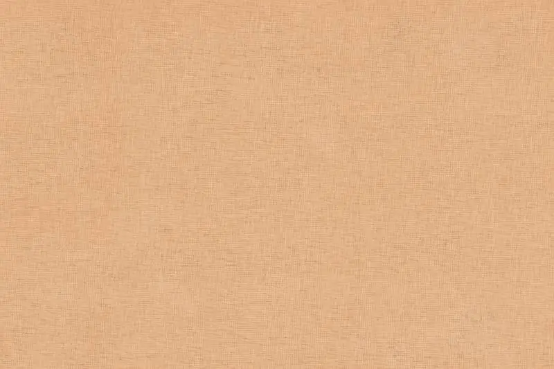 Old Papyrus Texture