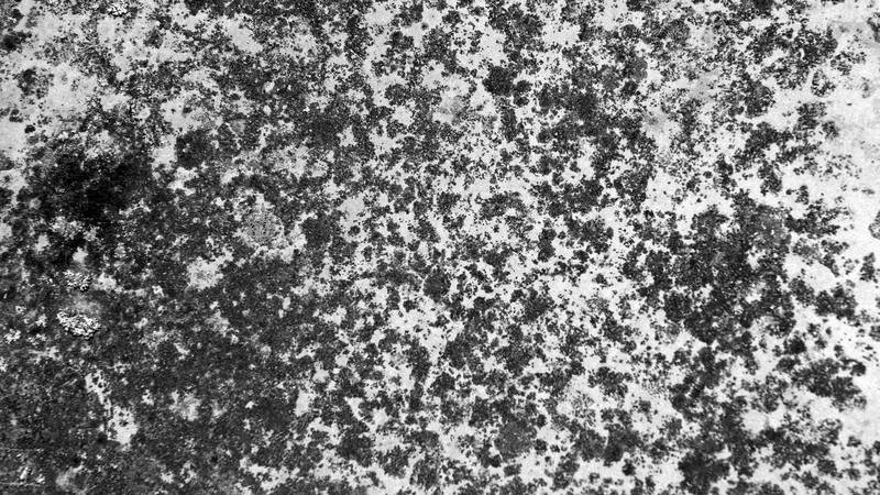 Black and White Grunge Texture