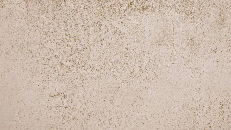 Grunge White Wall Texture