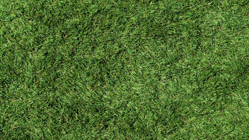 Turf Surface Texture
