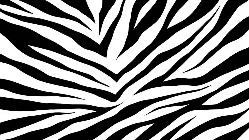 Zebra Print Texture