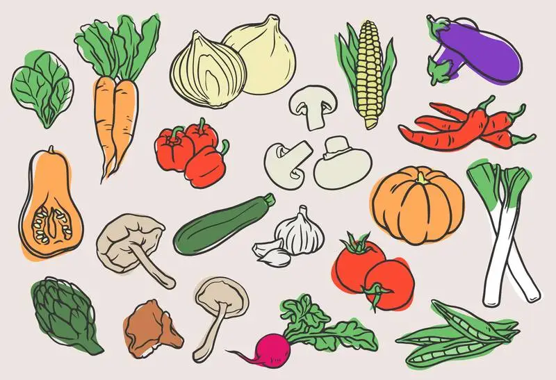 Hand-Drawn Vegetables Collection