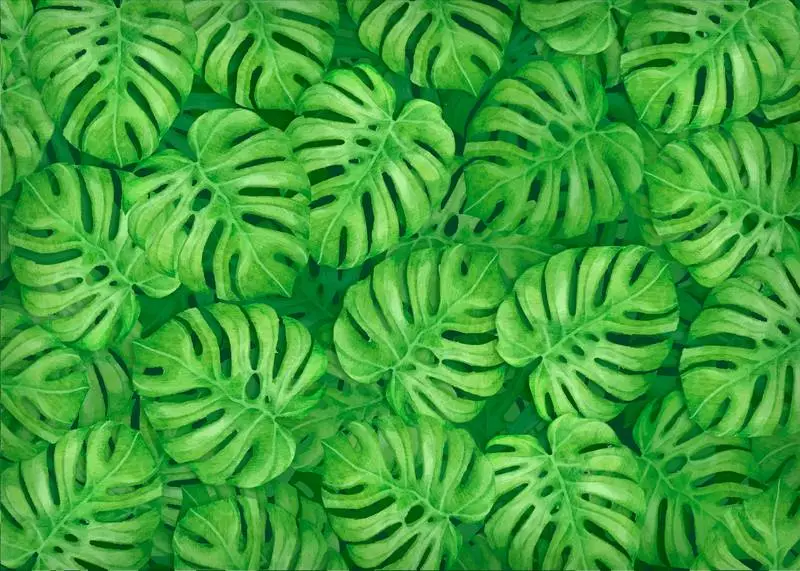 Hand-Drawn Monstera Leaves Background
