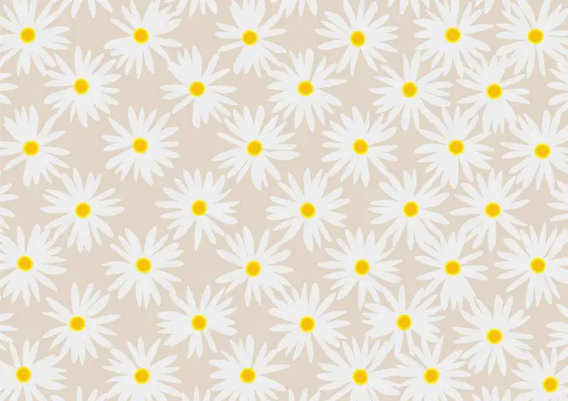 Floral Daisy Background
