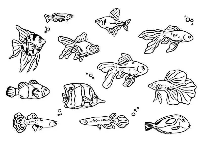 Hand-Drawn Fishes Collection