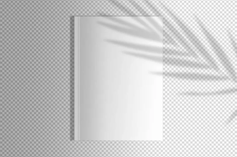 Isolated White Magazine with Palm Shadow