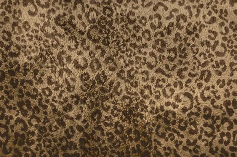 Animal Fur Texture