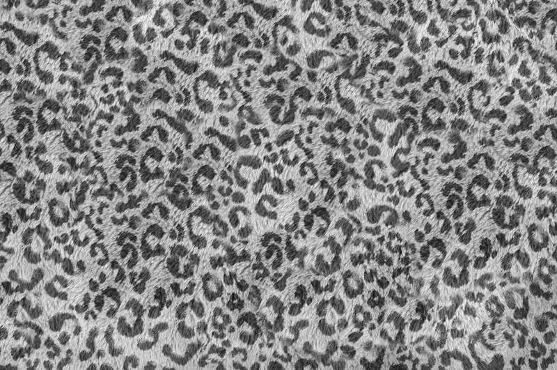 Black and White Leopard Texture