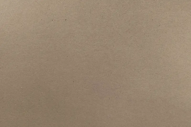 Cardboard Surface Texture