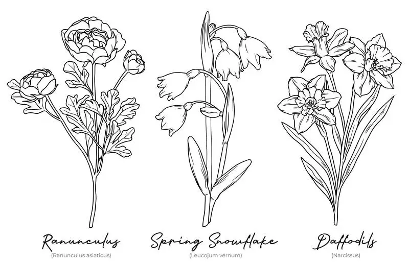Collection of Hand-Drawn Winter Flowers