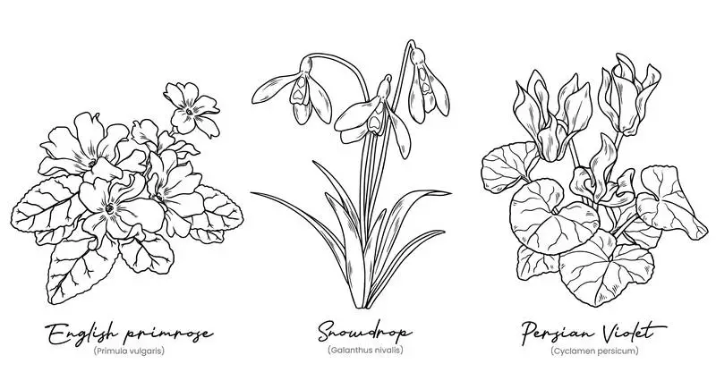 Set of Hand-Drawn Winter Flowers