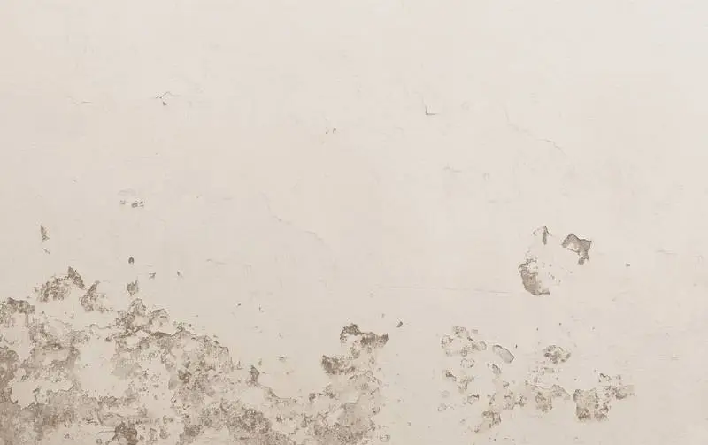 Old Cracked White Wall Texture