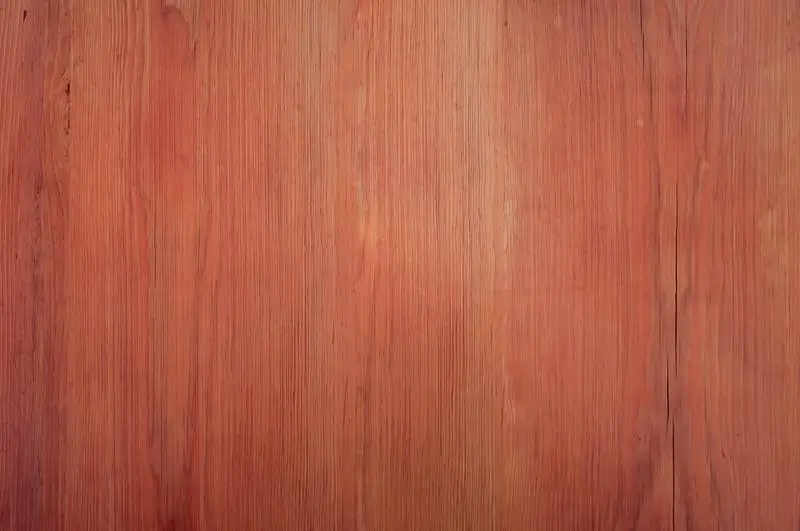 Background Texture of Shittim Wood