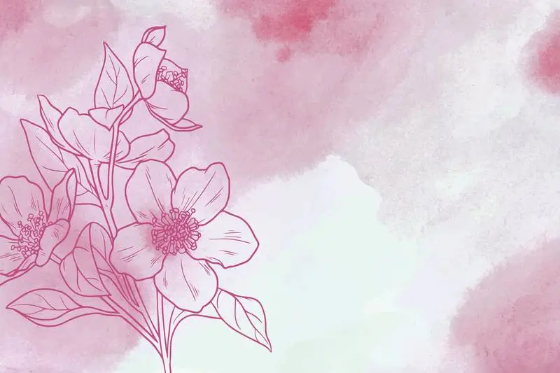Pink Watercolor Background with Hand-drawn Wild Rose