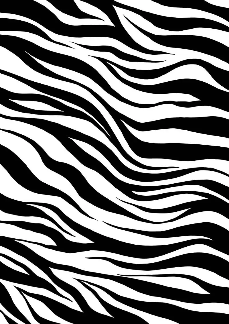 Zebra Fur Texture Background