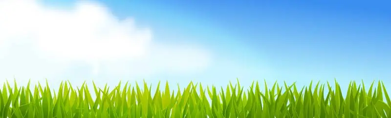 Realistic Background of Sunny Countryside with Clouds