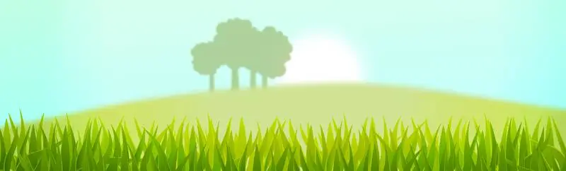 Realistic Background of Sunny Countryside with Trees
