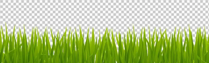 Realistic Banner with Grass
