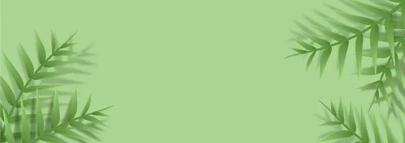 Green Background with Realistic Palms