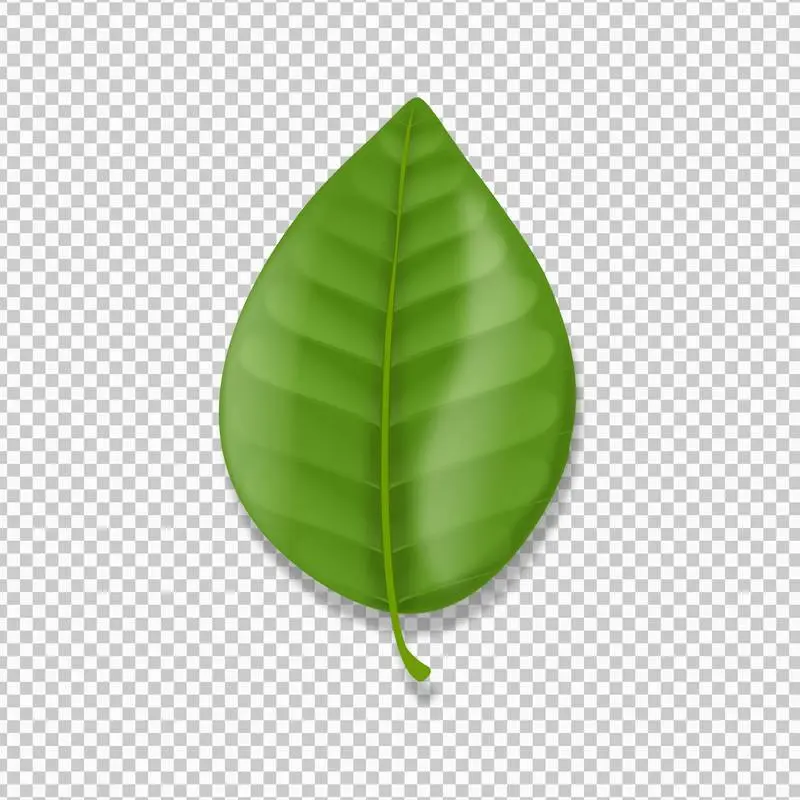Realistic Lemon Tree Leaf with Gradients