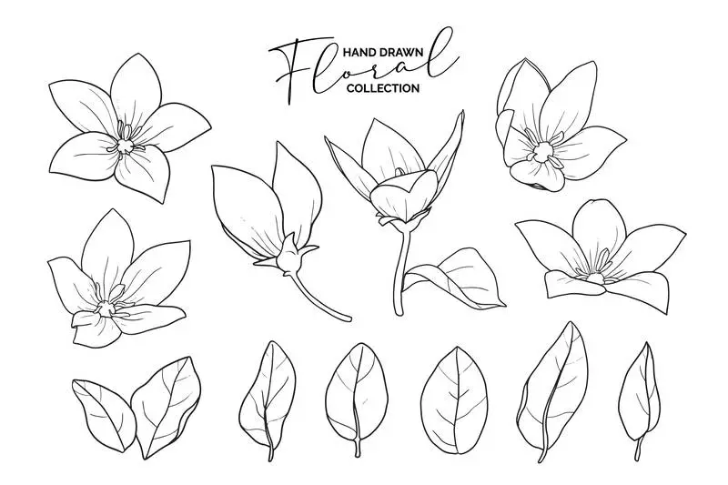 Hand-Drawn Black and White Floral Doodles Collection