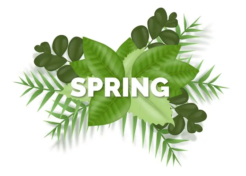Realistic Bouquet of Green Leaves for Spring