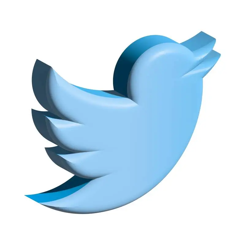 Realistic Isolated Isometric Twitter Icon