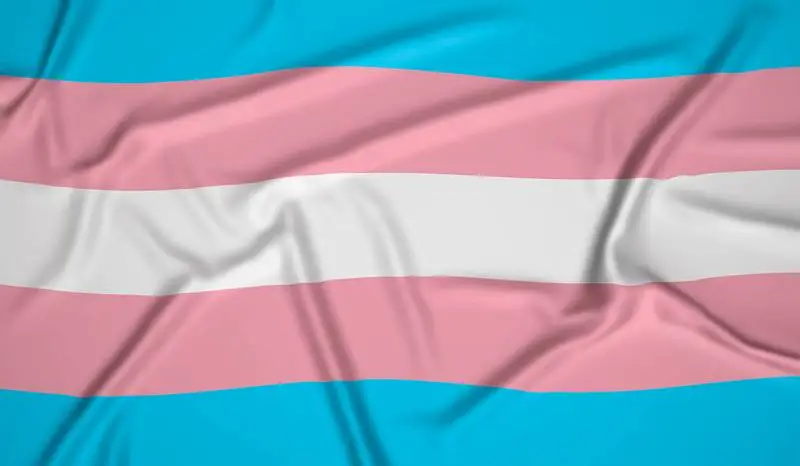 Realistic Transsexual Pride Flag
