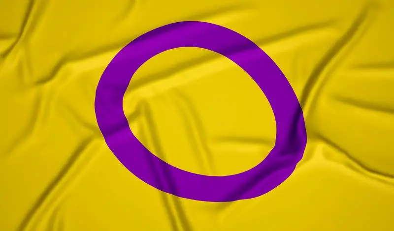 Realistic Intersexual Pride Flag