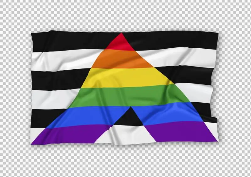 Realistic Straight Ally Pride Flag