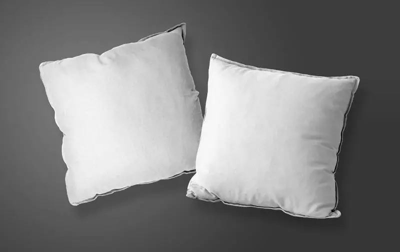 Pack of Two Cushions on Dark Background