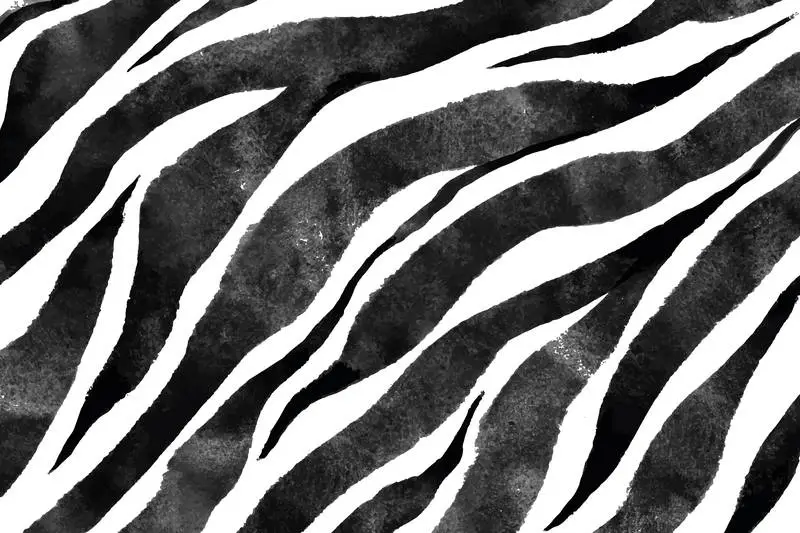 Handrawn Zebra Print Texture