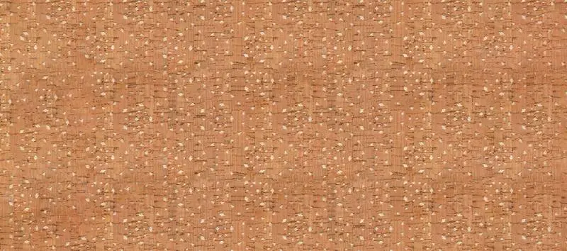 Texture of Natural Cork