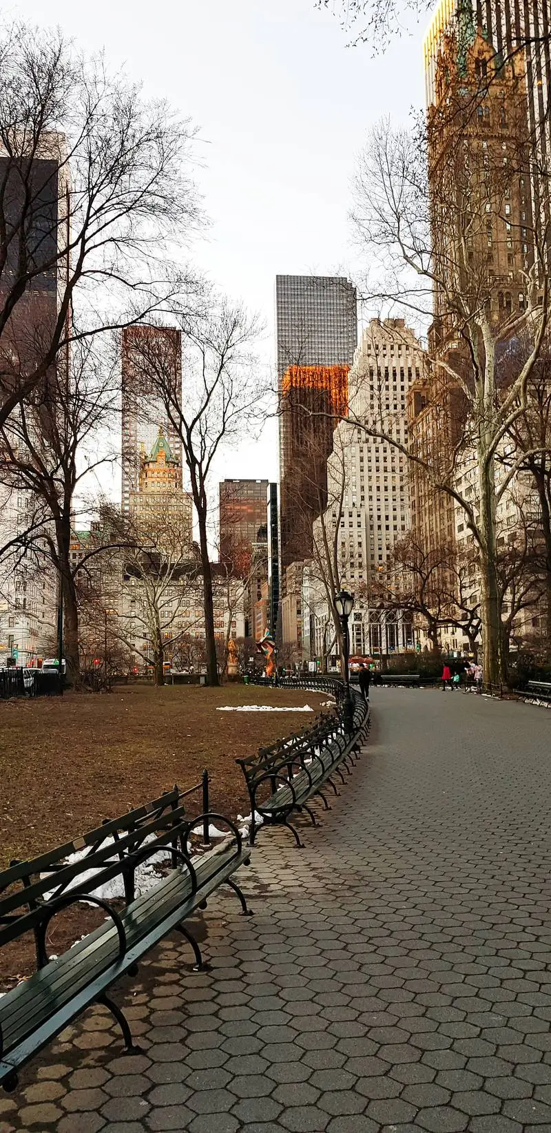 Photo of a New York Street with Trees and Buildings in the Background in Wintertime